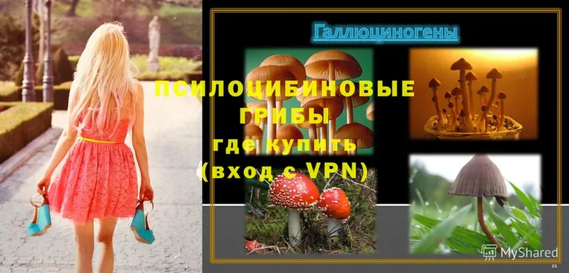 Галлюциногенные грибы Psilocybine cubensis  blacksprut зеркало  Кировск 